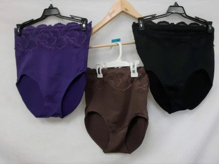 3X Rhonda Shear #4236 Ahh Panty High Waisted Lace  Undies, BLACK PURPLE HOTCHOCO Supply