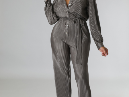 Dalan Pleated Flared Leg Jumpsuit Online now