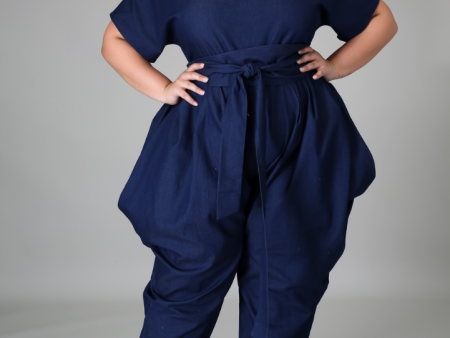 Aja Denim Jumpsuit Online now