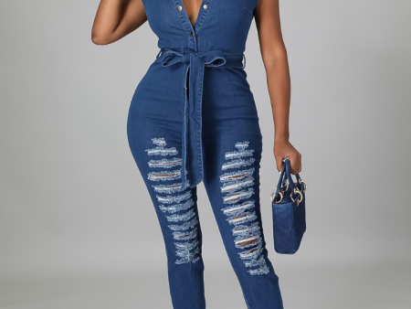 Josie Denim Distressed Button Up Jumpsuit Supply