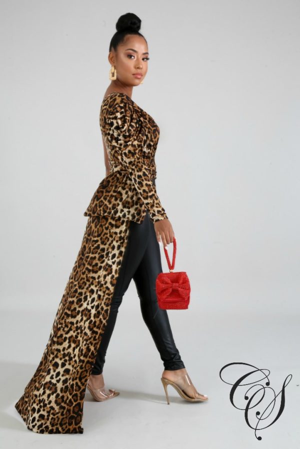 Giselle Cheetah Long Tail Top For Discount