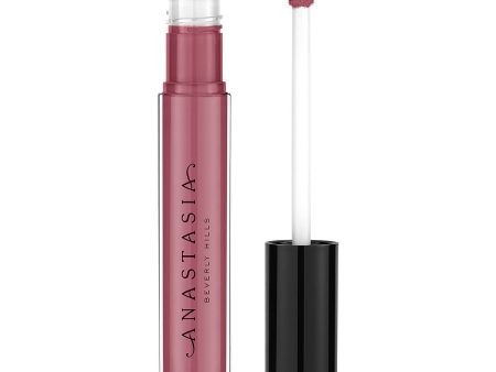 Anastasia Beverly Hills Lip Gloss For Discount