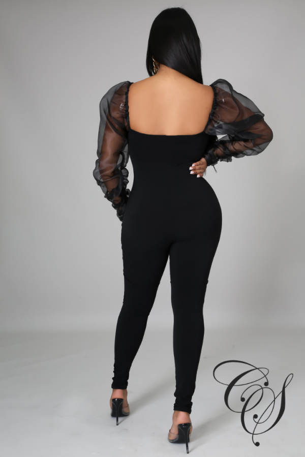 Bryanna Organza Long Sleeve Jumpsuit Sale