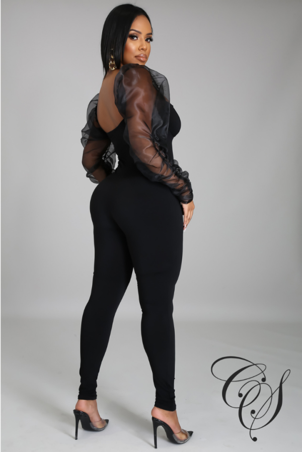 Bryanna Organza Long Sleeve Jumpsuit Sale