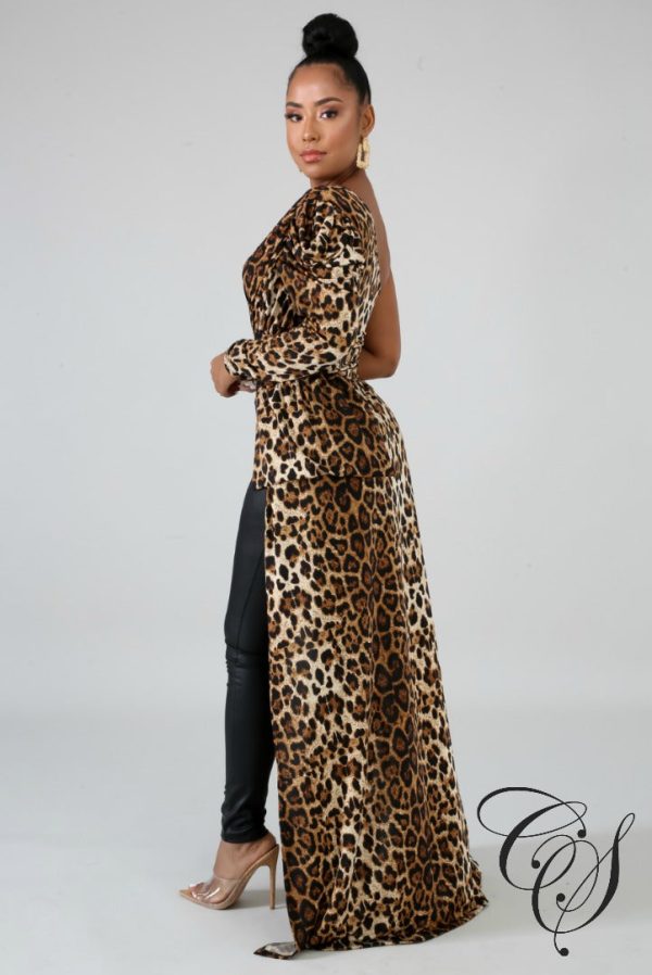 Giselle Cheetah Long Tail Top For Discount