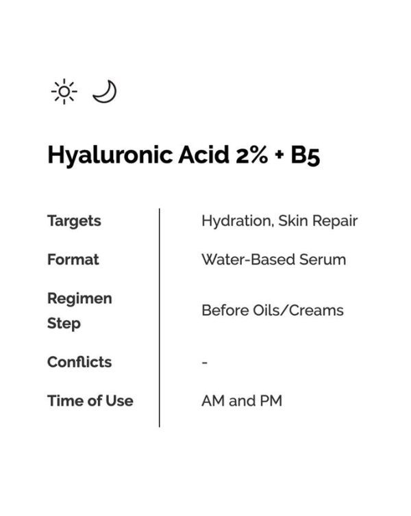 Hyaluronic Acid 2% + B5 Hydrating Serum Online Hot Sale