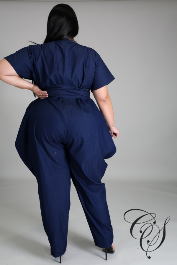 Aja Denim Jumpsuit Online now