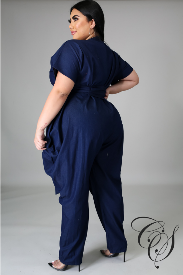 Aja Denim Jumpsuit Online now