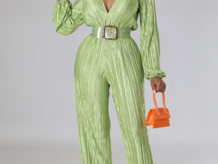 Emmerie Pleated Flared Leg Jumpsuit Online Hot Sale