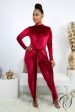 Tina Velvet Jumpsuit For Sale